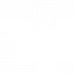 pjbumi_berhad_logo_300px-01-white